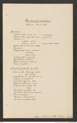 k.k. naturhistorisches Hofmuseum, Intendanzakten 1885-1896 (Hauer), Aktenzahl Z.263.c/1889, Seite 21